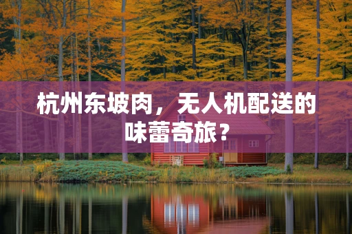 杭州东坡肉，无人机配送的味蕾奇旅？