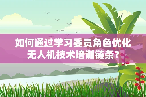 如何通过学习委员角色优化无人机技术培训链条？