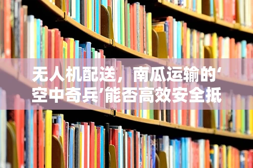 无人机配送，南瓜运输的‘空中奇兵’能否高效安全抵达？