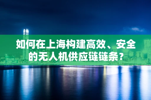 如何在上海构建高效、安全的无人机供应链链条？