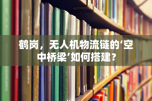 鹤岗，无人机物流链的‘空中桥梁’如何搭建？