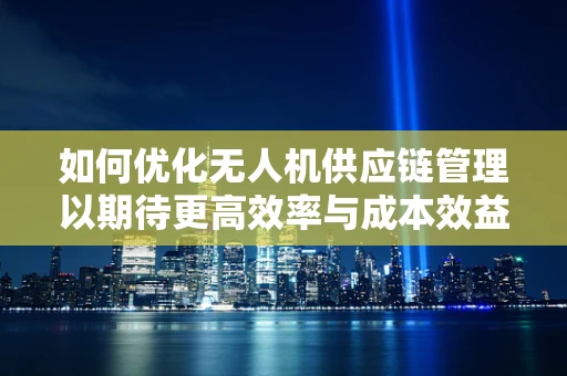 如何优化无人机供应链管理以期待更高效率与成本效益？