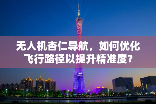 无人机杏仁导航，如何优化飞行路径以提升精准度？