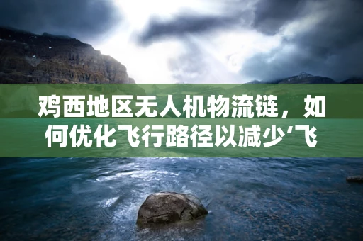 鸡西地区无人机物流链，如何优化飞行路径以减少‘飞鸡’挑战？