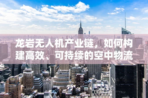 龙岩无人机产业链，如何构建高效、可持续的空中物流网络？