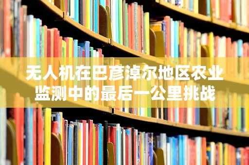 无人机在巴彦淖尔地区农业监测中的最后一公里挑战