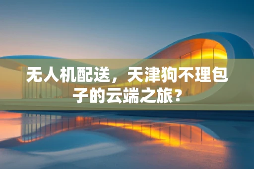 无人机配送，天津狗不理包子的云端之旅？