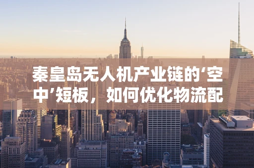 秦皇岛无人机产业链的‘空中’短板，如何优化物流配送环节？