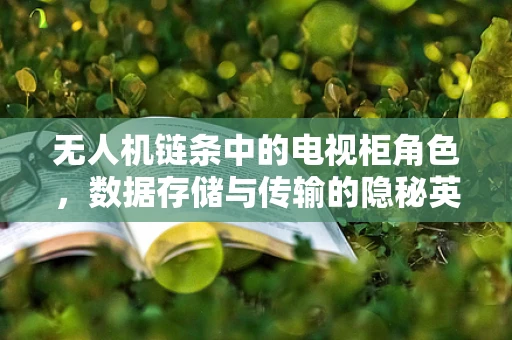 无人机链条中的电视柜角色，数据存储与传输的隐秘英雄？