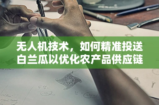 无人机技术，如何精准投送白兰瓜以优化农产品供应链？