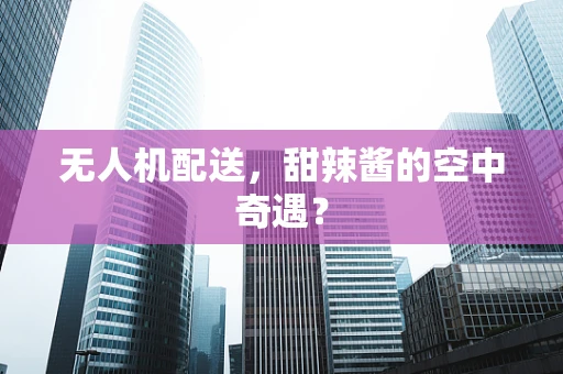 无人机配送，甜辣酱的空中奇遇？