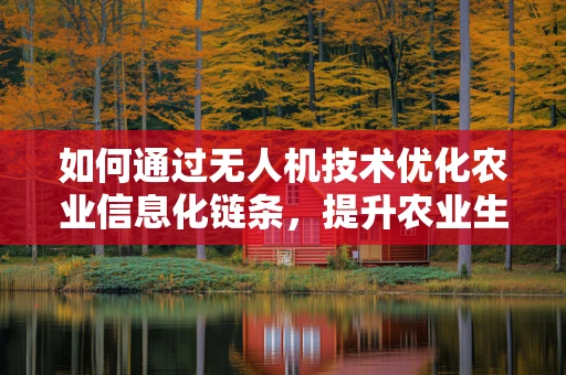 如何通过无人机技术优化农业信息化链条，提升农业生产效率？
