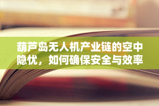 葫芦岛无人机产业链的空中隐忧，如何确保安全与效率的双重提升？