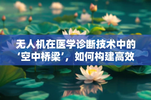 无人机在医学诊断技术中的‘空中桥梁’，如何构建高效数据传输链路？