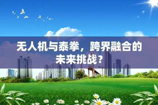 无人机与泰拳，跨界融合的未来挑战？
