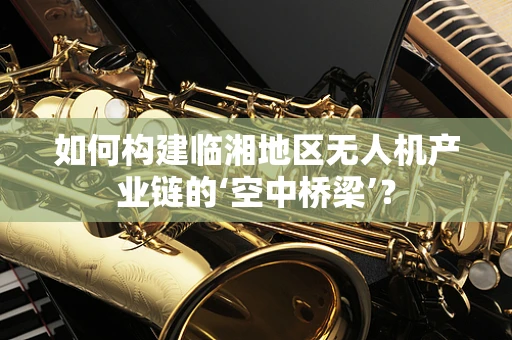 如何构建临湘地区无人机产业链的‘空中桥梁’？