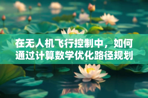 在无人机飞行控制中，如何通过计算数学优化路径规划以提升飞行效率？