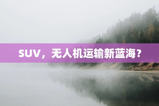 SUV，无人机运输新蓝海？
