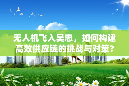 无人机飞入吴忠，如何构建高效供应链的挑战与对策？