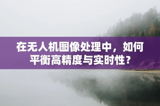 在无人机图像处理中，如何平衡高精度与实时性？