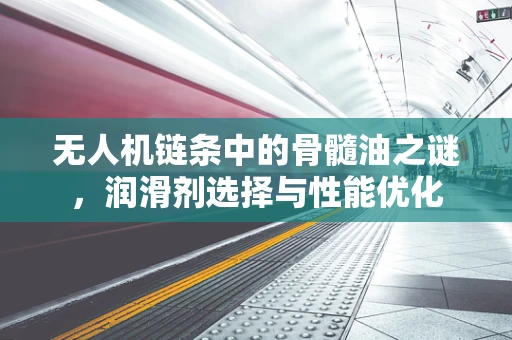 无人机链条中的骨髓油之谜，润滑剂选择与性能优化