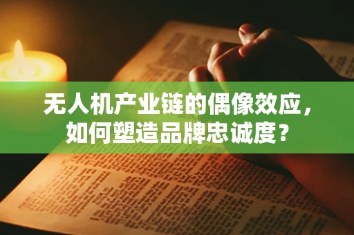 无人机产业链的偶像效应，如何塑造品牌忠诚度？