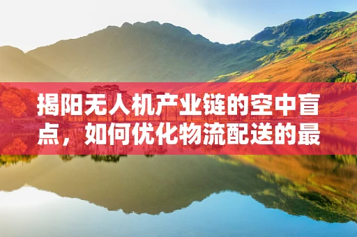 揭阳无人机产业链的空中盲点，如何优化物流配送的最后一公里？