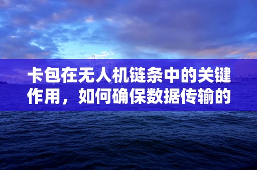 卡包在无人机链条中的关键作用，如何确保数据传输的稳定与安全？