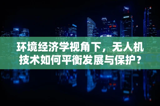 环境经济学视角下，无人机技术如何平衡发展与保护？