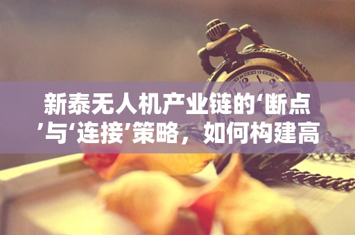 新泰无人机产业链的‘断点’与‘连接’策略，如何构建高效供应链？