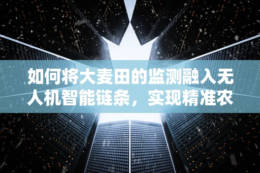 如何将大麦田的监测融入无人机智能链条，实现精准农业的飞跃？