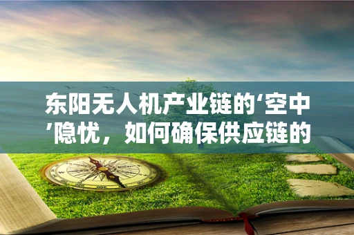 东阳无人机产业链的‘空中’隐忧，如何确保供应链的灵活性与安全性？