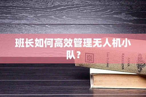 班长如何高效管理无人机小队？