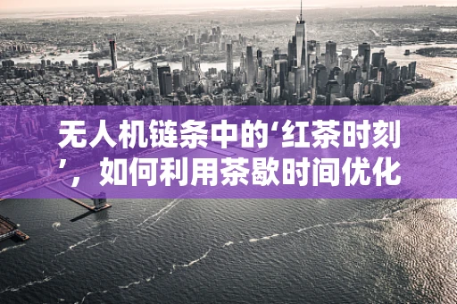 无人机链条中的‘红茶时刻’，如何利用茶歇时间优化飞行任务管理？
