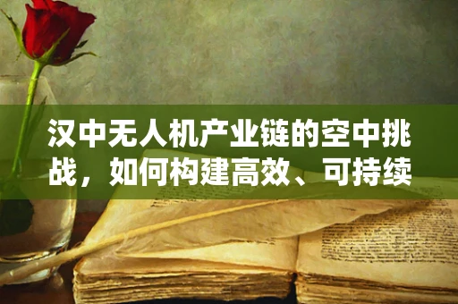 汉中无人机产业链的空中挑战，如何构建高效、可持续的无人机生态系统？