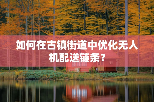 如何在古镇街道中优化无人机配送链条？