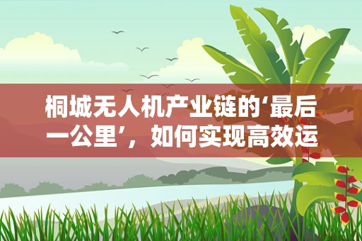 桐城无人机产业链的‘最后一公里’，如何实现高效运维与回收？