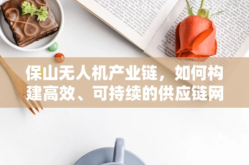 保山无人机产业链，如何构建高效、可持续的供应链网络？