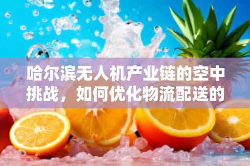 哈尔滨无人机产业链的空中挑战，如何优化物流配送的最后一公里？