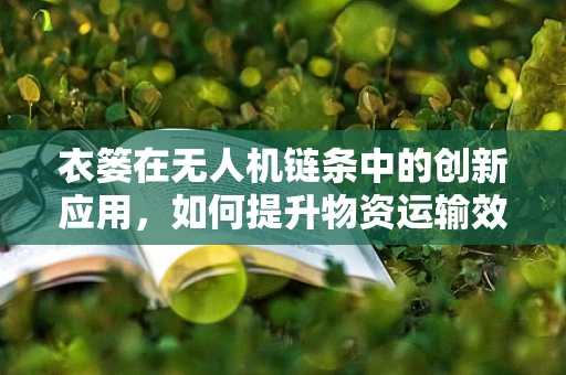 衣篓在无人机链条中的创新应用，如何提升物资运输效率？