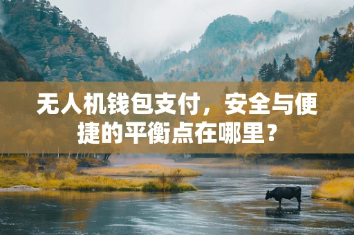 无人机钱包支付，安全与便捷的平衡点在哪里？