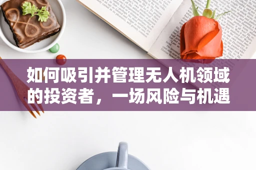 如何吸引并管理无人机领域的投资者，一场风险与机遇的平衡舞？