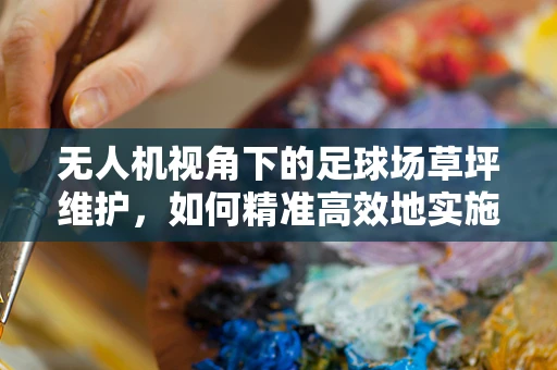 无人机视角下的足球场草坪维护，如何精准高效地实施？