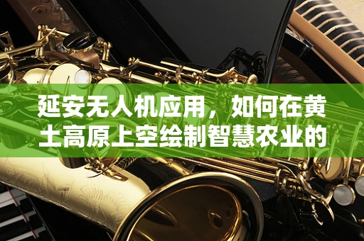 延安无人机应用，如何在黄土高原上空绘制智慧农业的蓝图？