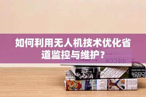 如何利用无人机技术优化省道监控与维护？