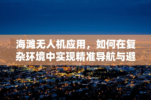 海滩无人机应用，如何在复杂环境中实现精准导航与避障？