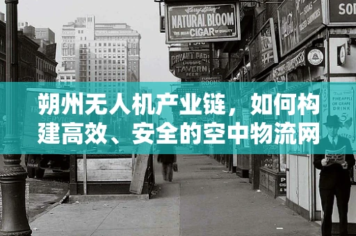 朔州无人机产业链，如何构建高效、安全的空中物流网络？