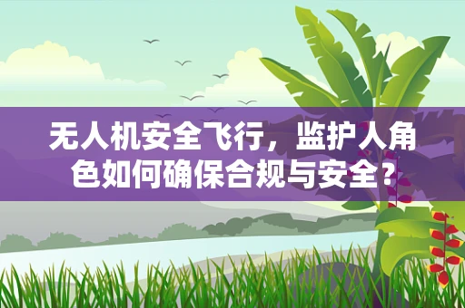 无人机安全飞行，监护人角色如何确保合规与安全？