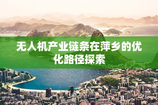 无人机产业链条在萍乡的优化路径探索