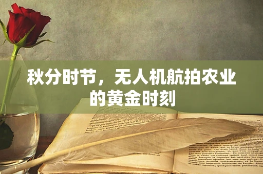 秋分时节，无人机航拍农业的黄金时刻